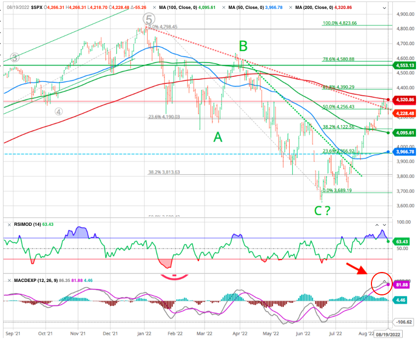 macd spx