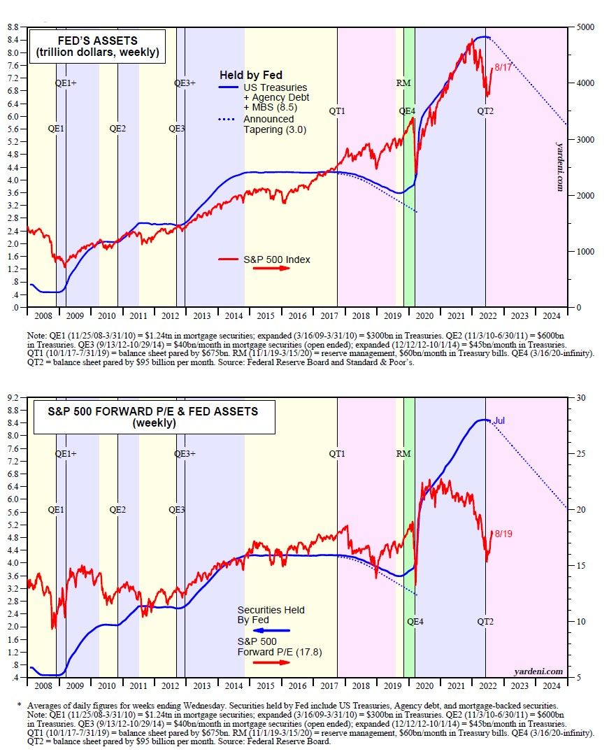 yaredni fed asset