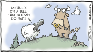 bull sheep